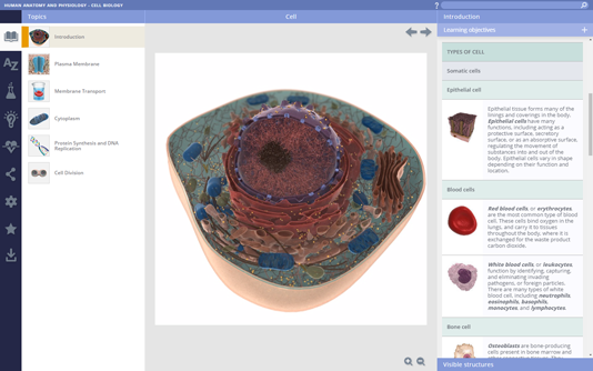 New user-interface New user-interface
